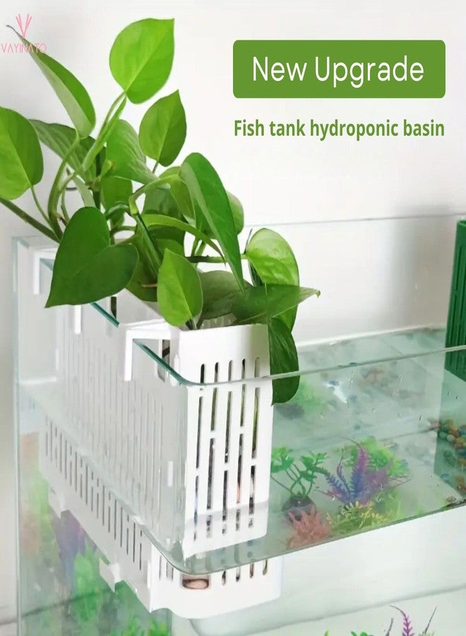 VAYINATO® 1 Pcs White Large (Box Type) Aquarium Water Plant Holder with Hooks for Fish Tank, Aquaponics & Hydroponics Plant Growing Landscape Decoration | Easy Installation | Plastic Material - Image 5